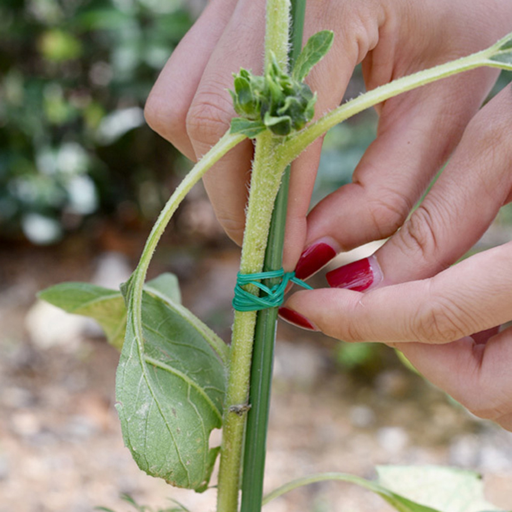 Multifunctional Garden Twist T - Gear Tie Reusable review and price