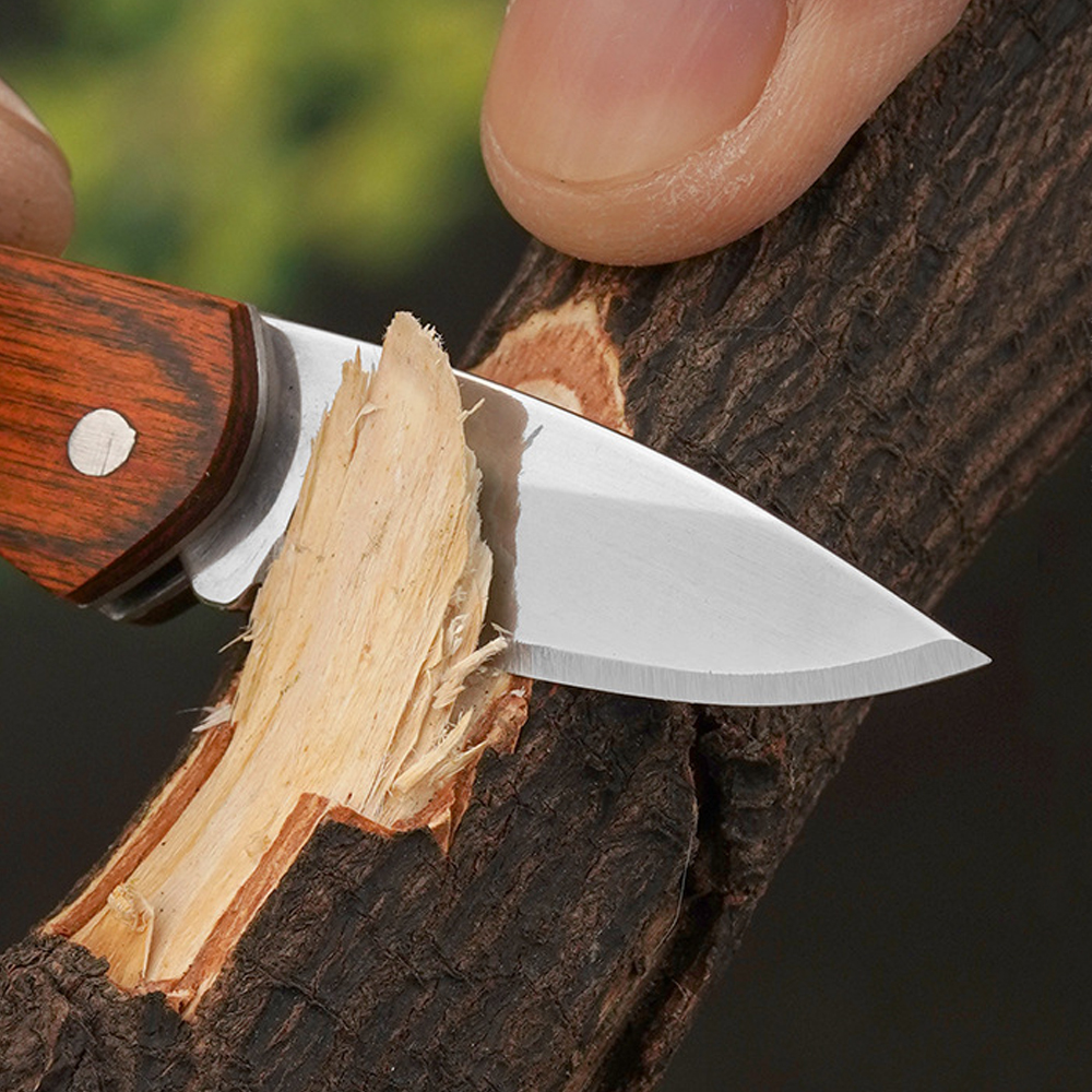 Small Keychain Pocket Knife Ev - Edc Day Carry review and price