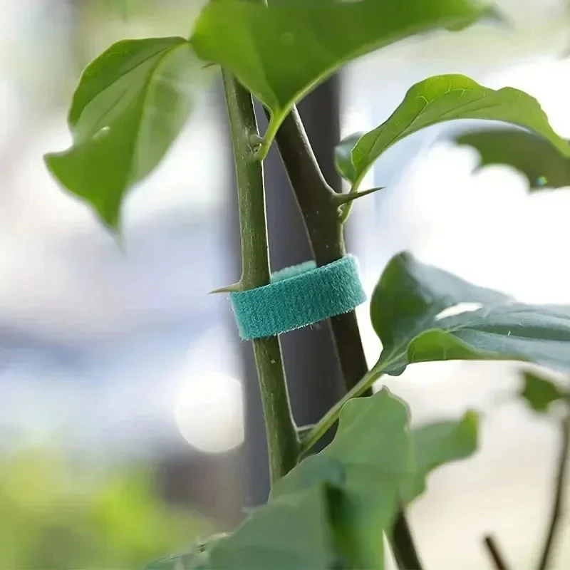 10m/25m Reusable Nylon Plant T - Gear Tie Reusable review and price