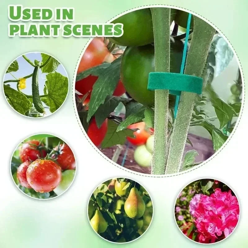 10m/25m Reusable Nylon Plant T - Gear Tie Reusable review and price